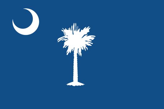 The Flag of the American State of South Carolina