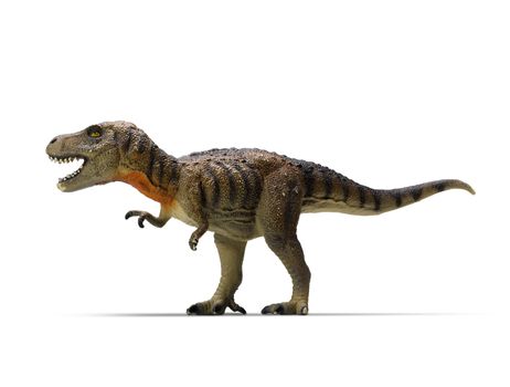 tyrannosaurus-rex (clipping path) on white background
