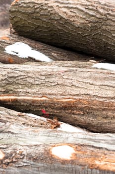 Logs of wood piled up