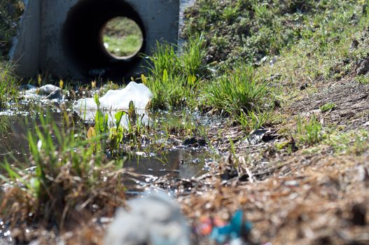 Sewage drainage system with water and grass