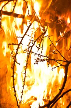 Wildfire burning with large flames