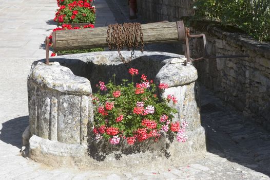 old flowered well