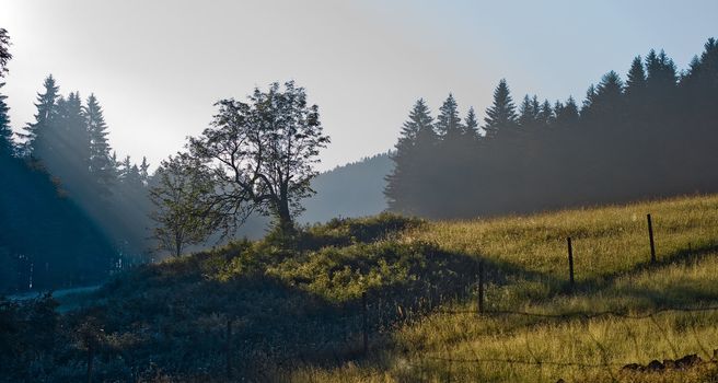 Mystic landscape in the morning