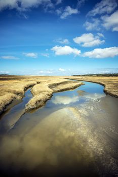 Dunes with water and reflections grasses in nice sunny weather, blue sky and clouds in spring