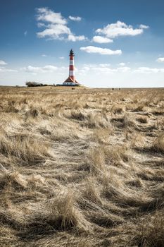 Dune grass with the lighthouse in the background of westerhever in sunny weather with blue sky and white clouds