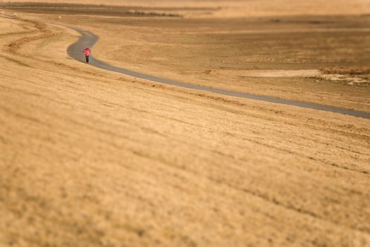 Woman wanders through the dunes of Westerhever at North Sea in Germany
