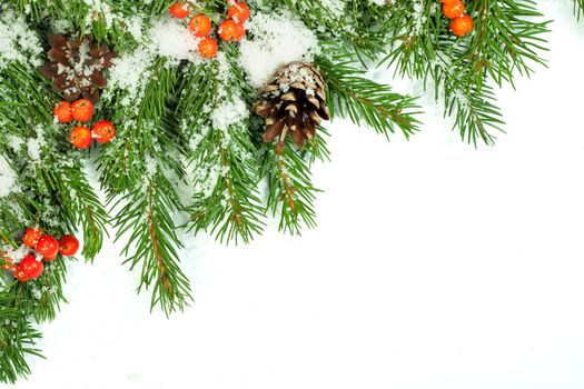 Christmas background with snow, cones and holly berry isolated on white