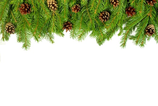 Christmas background with cones isolated on white