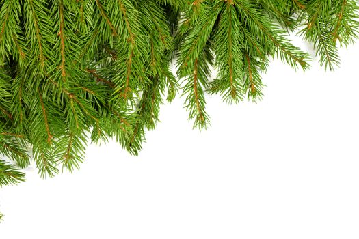 Christmas green framework isolated on white background