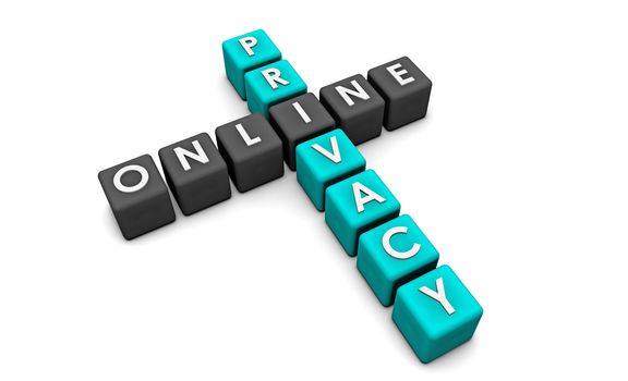 Online Privacy of your Data on the Web