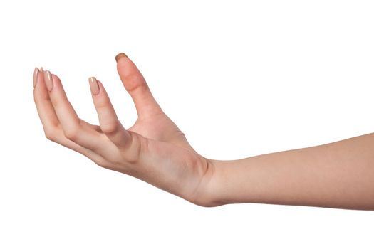 Well shaped Female hand reaching for something isolated on a white background