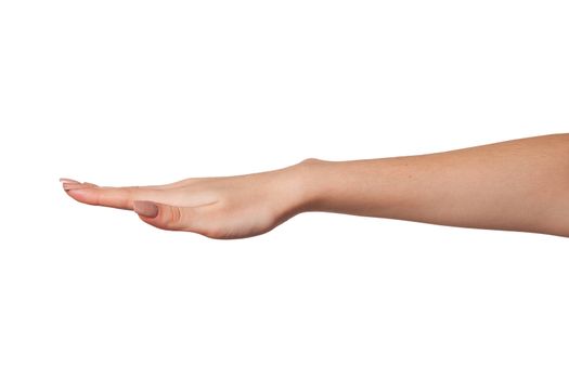 Open palm hand gesture of Female hand. Isolated on a white background.