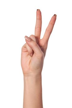 Hand with two fingers up in the peace or victory symbol. Also the sign for the letter V in sign language. Isolated on white.