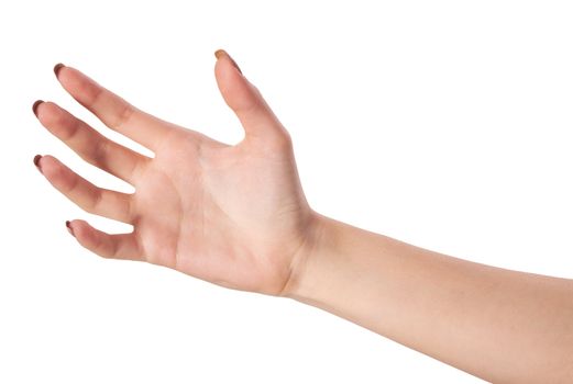 Well shaped Female hand reaching for something isolated on a white background