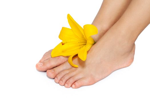 Woman's Feet and legs with flower isolated on white. Manicure and Pedicure concept. Nails. Spa.