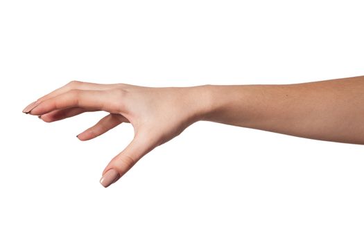 Well shaped Female hand reaching for something isolated on a white background