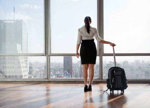 Rear view of business woman holding suitcase