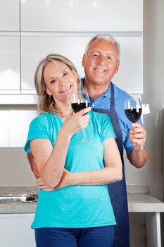 Portrait of happy senior couple with wine glasses