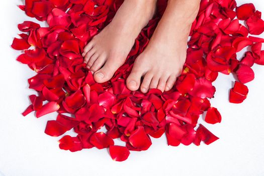 Beautiful body and legs of woman against petals of red roses with flower
