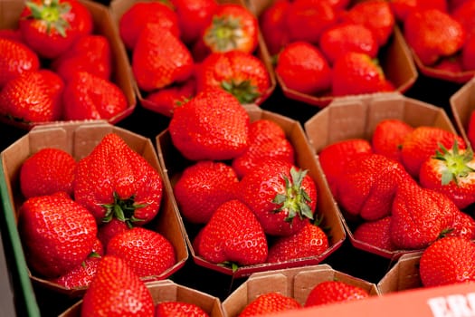 sweet tasty ripe strawberry collection background macro 