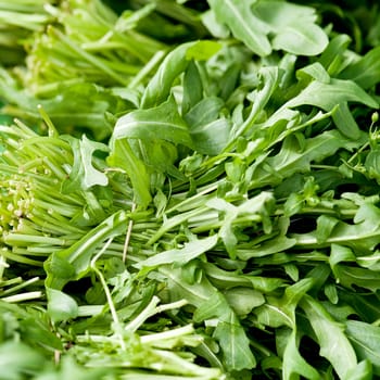 fresh green rucola salad on market outdoor in summer macro