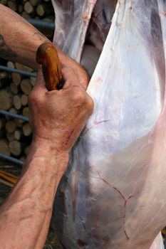 Butchery work, preparing a lamb, traditional way