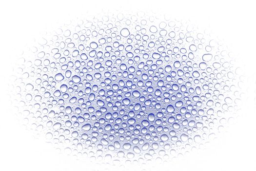 Water drops on a white background