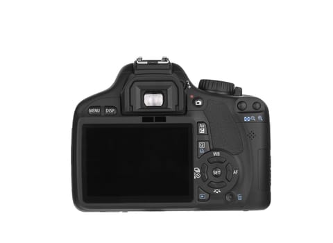 Digital Single Lens Reflex-back (clipping path) on white background