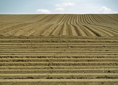 Farm field with furrows