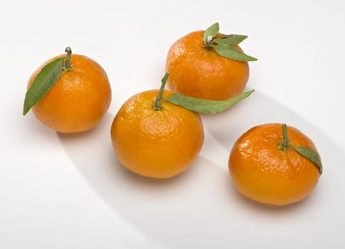Tangerines with green leaves 