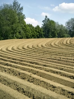 Farm field with furrows