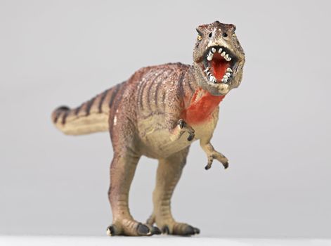 tyrannosaur rex face to face