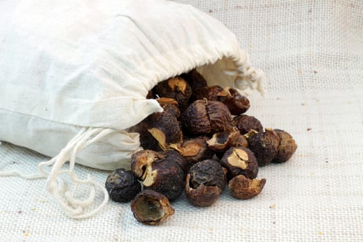 Soap (washing) nuts and the bag