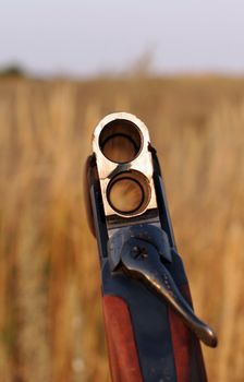 Hunting double-barrelled gun close up