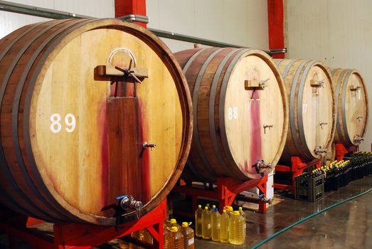 wine cellar with wooden barrels 