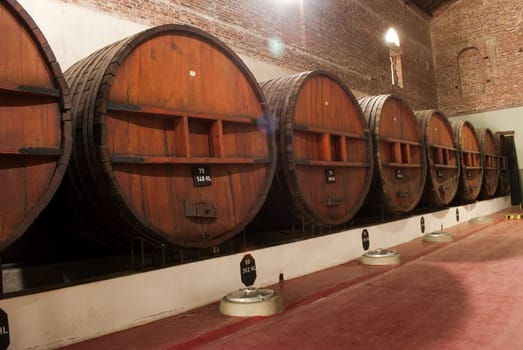 	 wine cellar