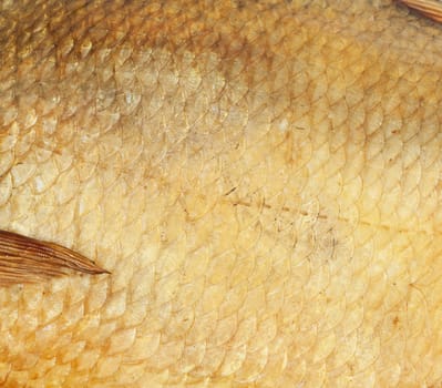 Gold scales smoked fish as a background