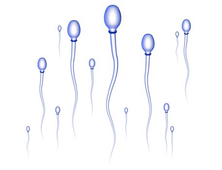 Sperm Cells on their way to the egg. High resolution 3D render. 
