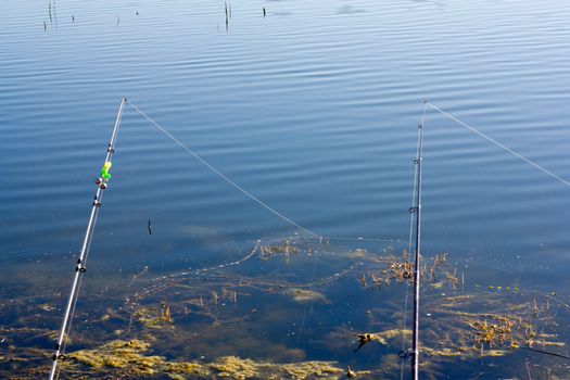 fishing in a calm swedish lake on a sunny day 