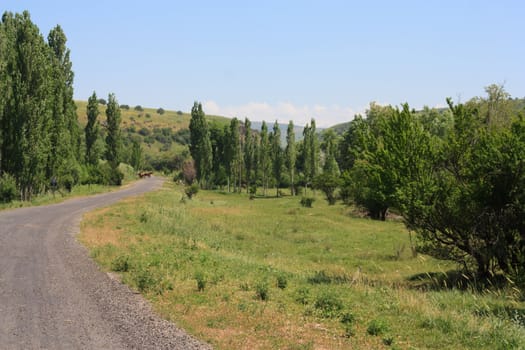 road in the mountains. Of Kazakhstan. Mashat