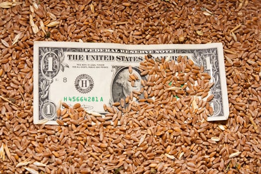 one dollar in wheat