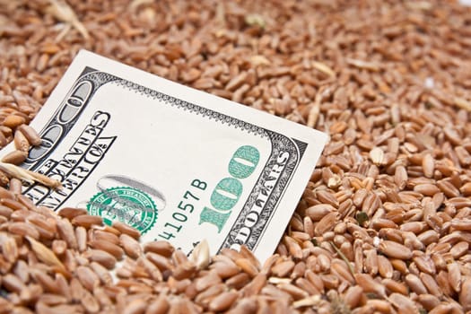 One hundred dollars in wheat
