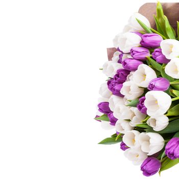 Bouquet of tulips isolated on white background