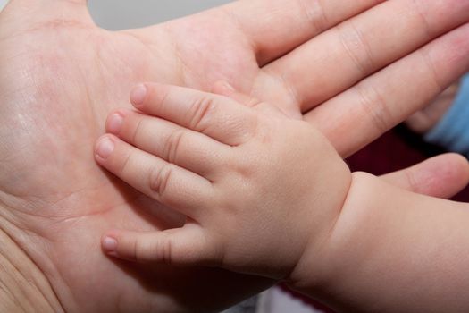 father's and baby's hands 