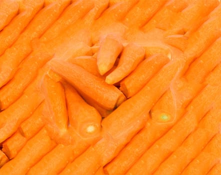 carrots background