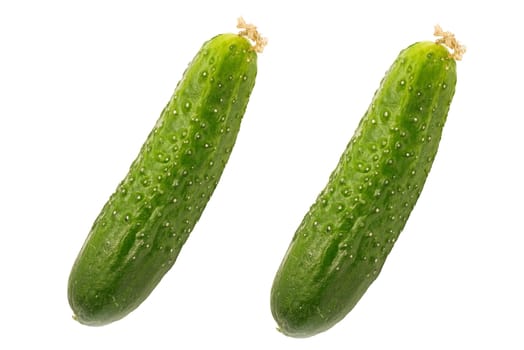 two cucumbers insulated on white background