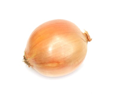 single yellow onion isolated on white background 