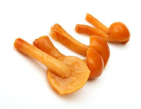 mushrooms on a white background