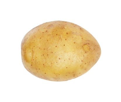 One potato isolated, object on white background 