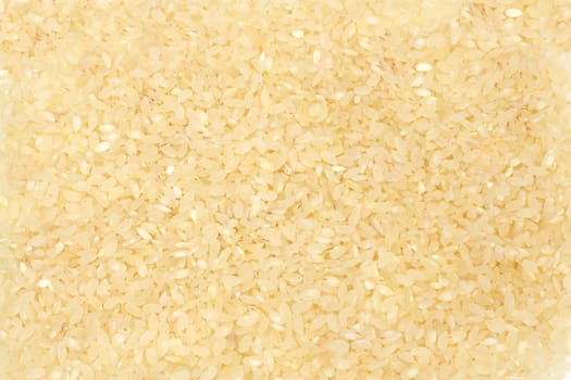rice texture 